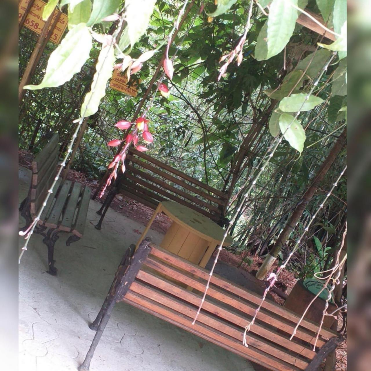 Murmurio Aguas *