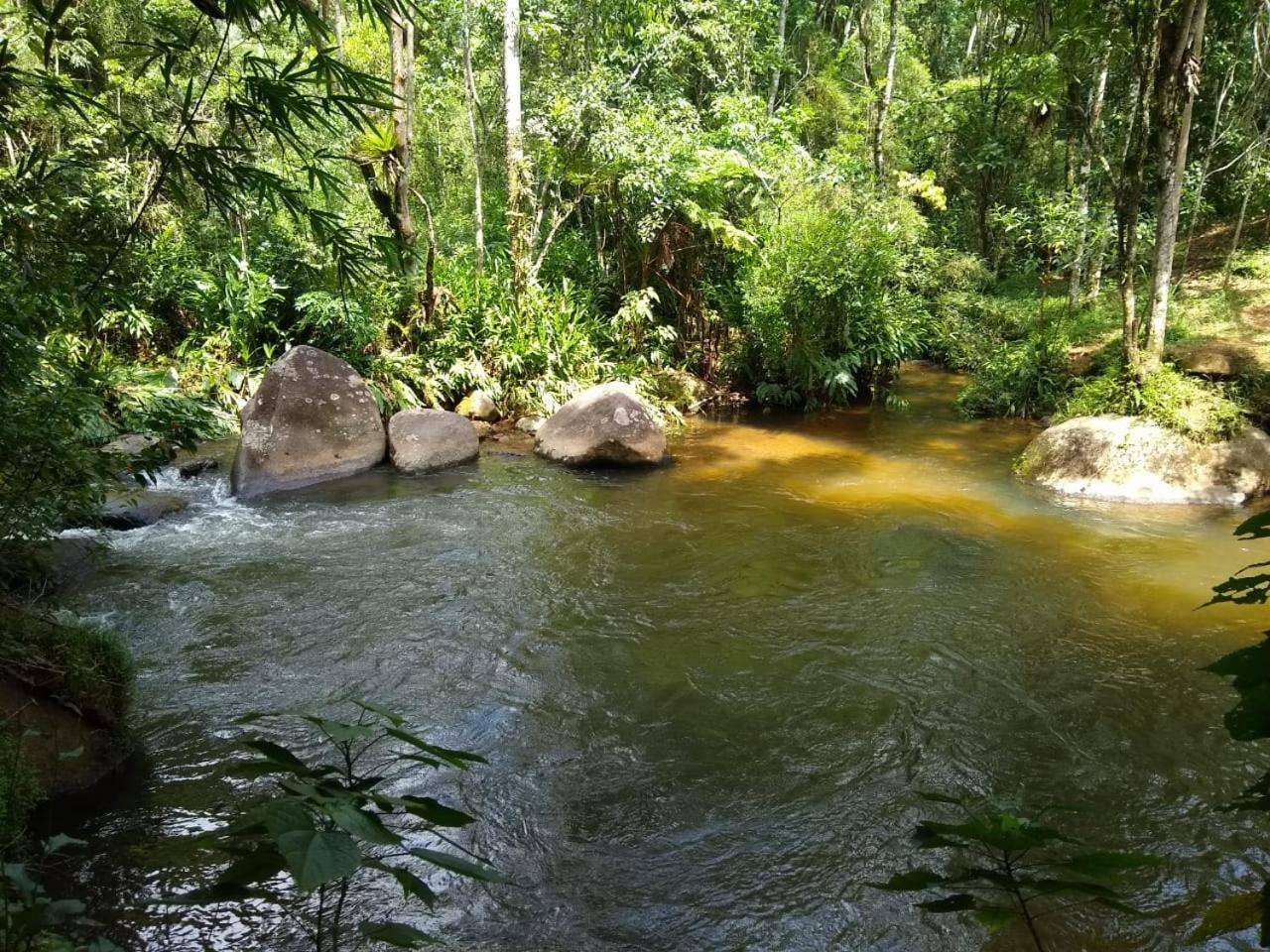 Murmurio Aguas *